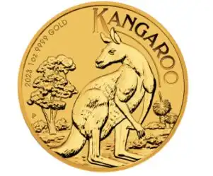 Australijski Kangur (Australian Gold Nugget)